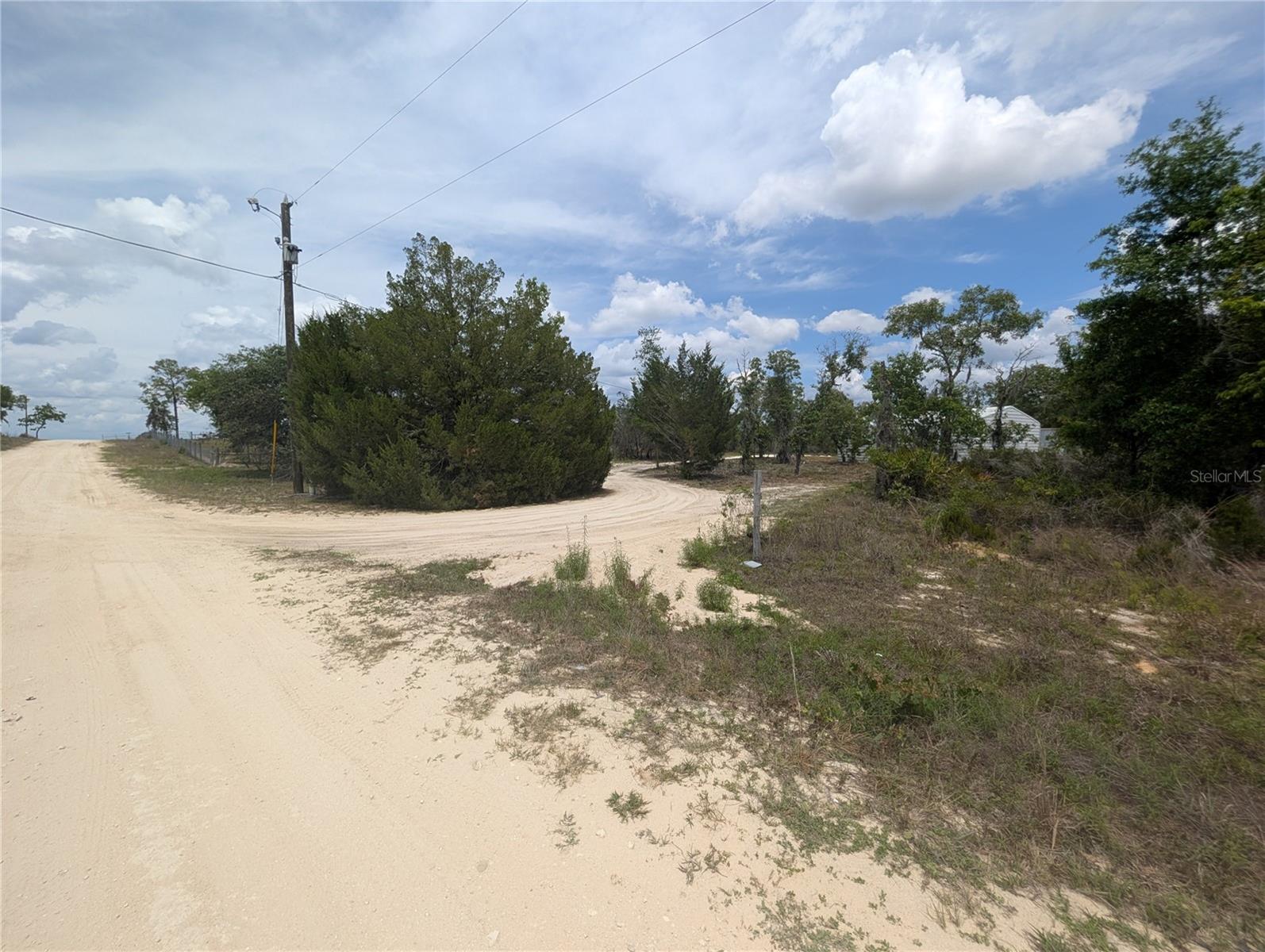1871 NE 154TH AVE, WILLISTON, FL, 32696