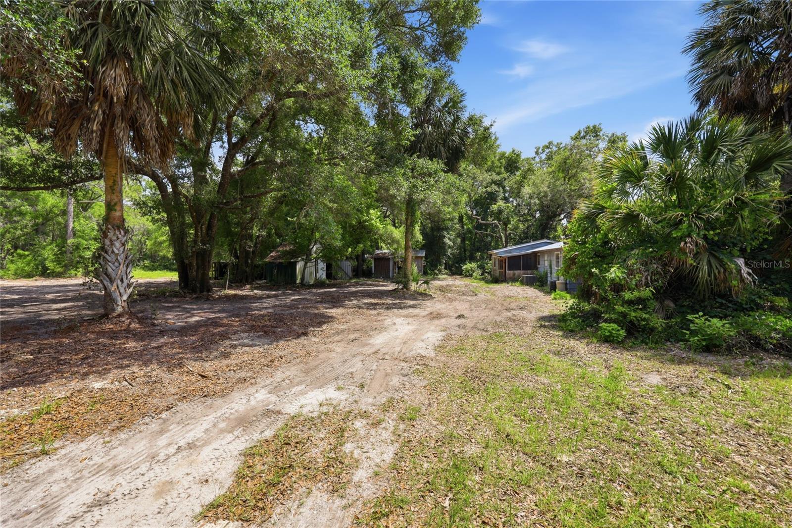 9580 NE HIGHWAY 351, OLD TOWN, FL, 32680