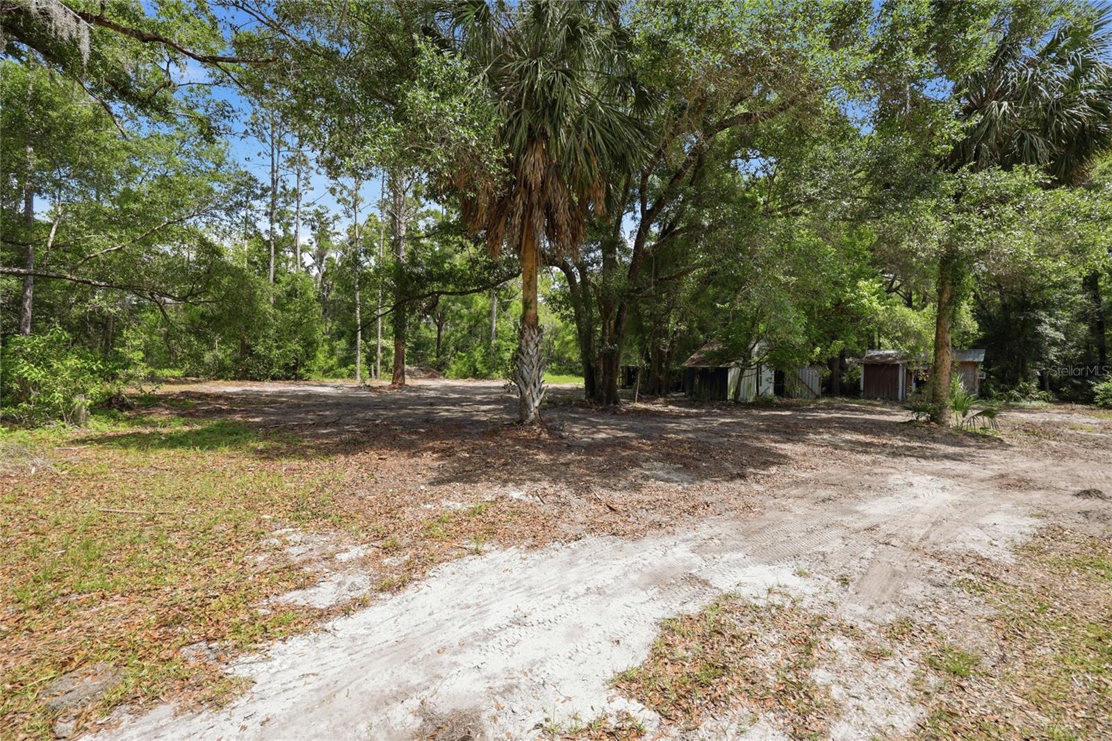 9580 NE HIGHWAY 351, OLD TOWN, FL, 32680