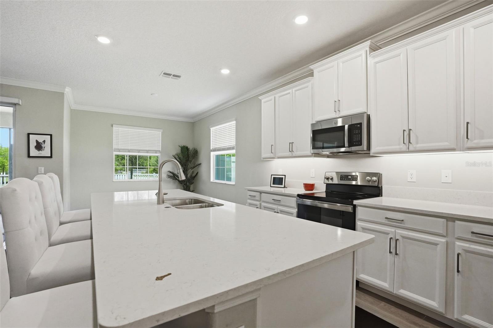 17135 SHELL BAY DR, LAND O LAKES, FL, 34638
