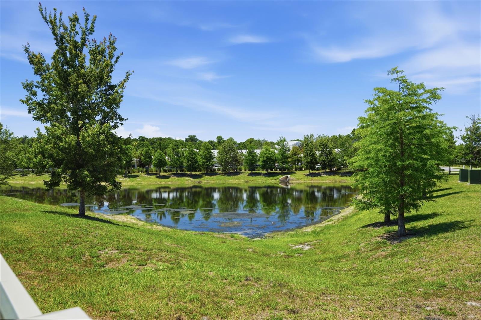 17135 SHELL BAY DR, LAND O LAKES, FL, 34638