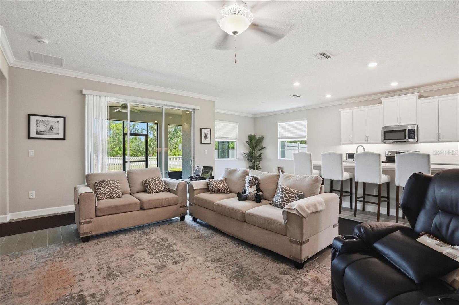 17135 SHELL BAY DR, LAND O LAKES, FL, 34638