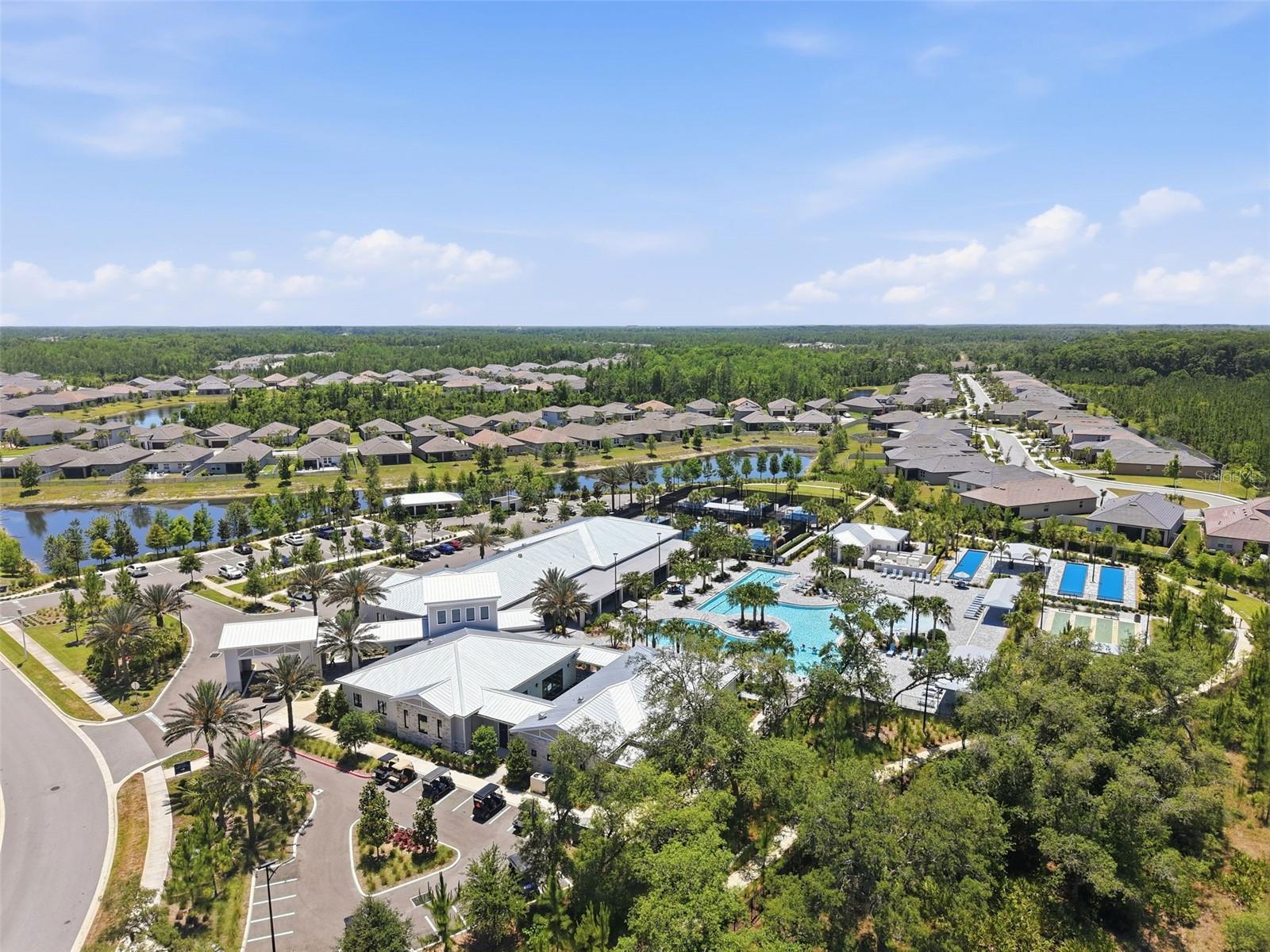 17135 SHELL BAY DR, LAND O LAKES, FL, 34638
