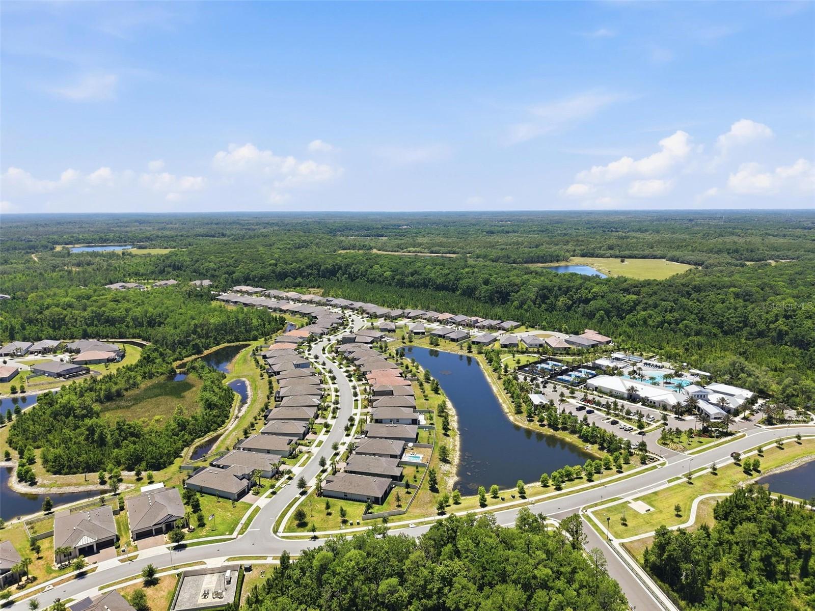 17135 SHELL BAY DR, LAND O LAKES, FL, 34638