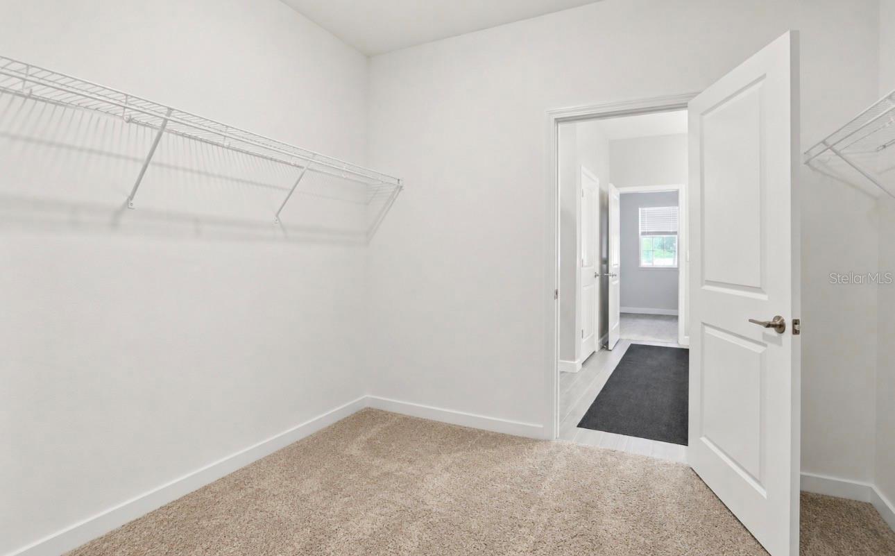 17135 SHELL BAY DR, LAND O LAKES, FL, 34638