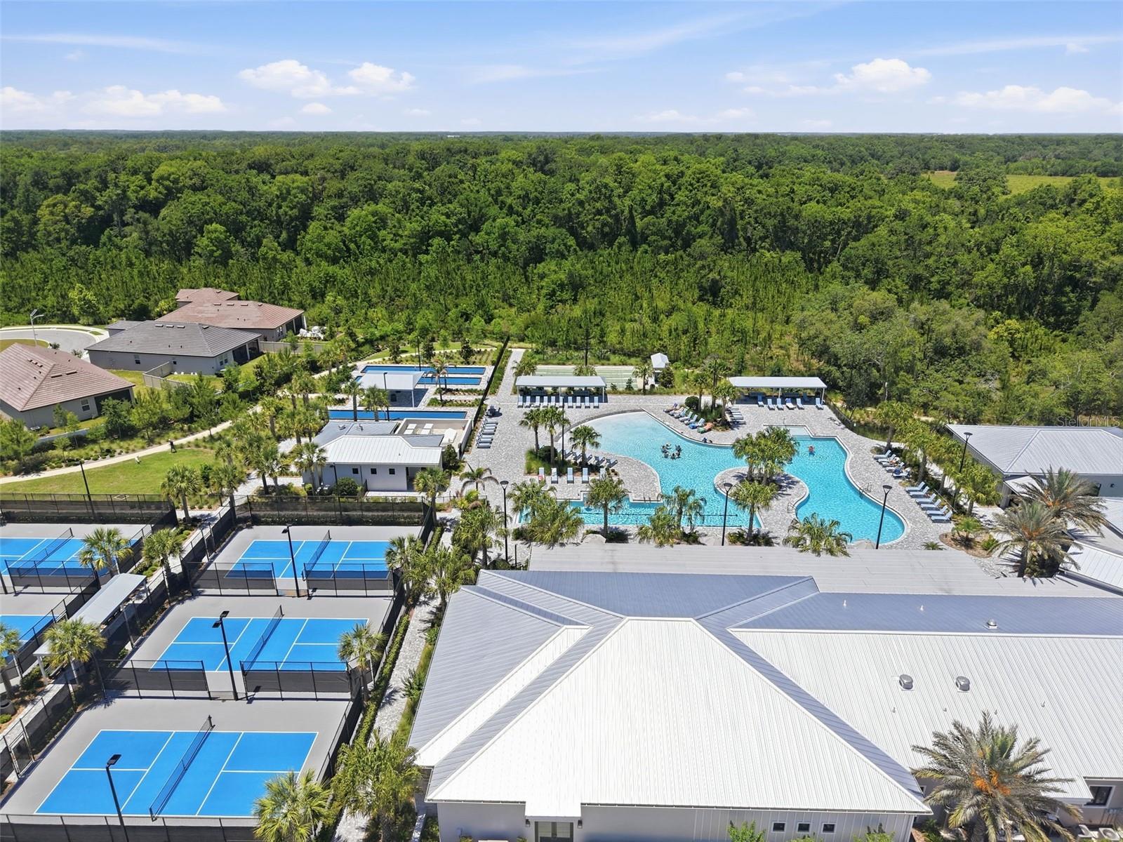 17135 SHELL BAY DR, LAND O LAKES, FL, 34638