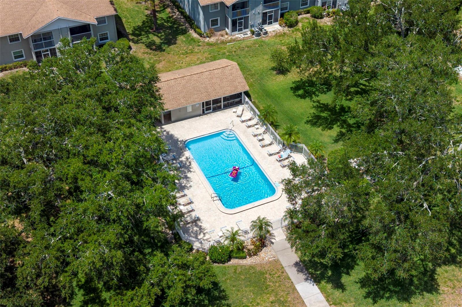 1465 OAK HILL DR #104, DUNEDIN, FL, 34698