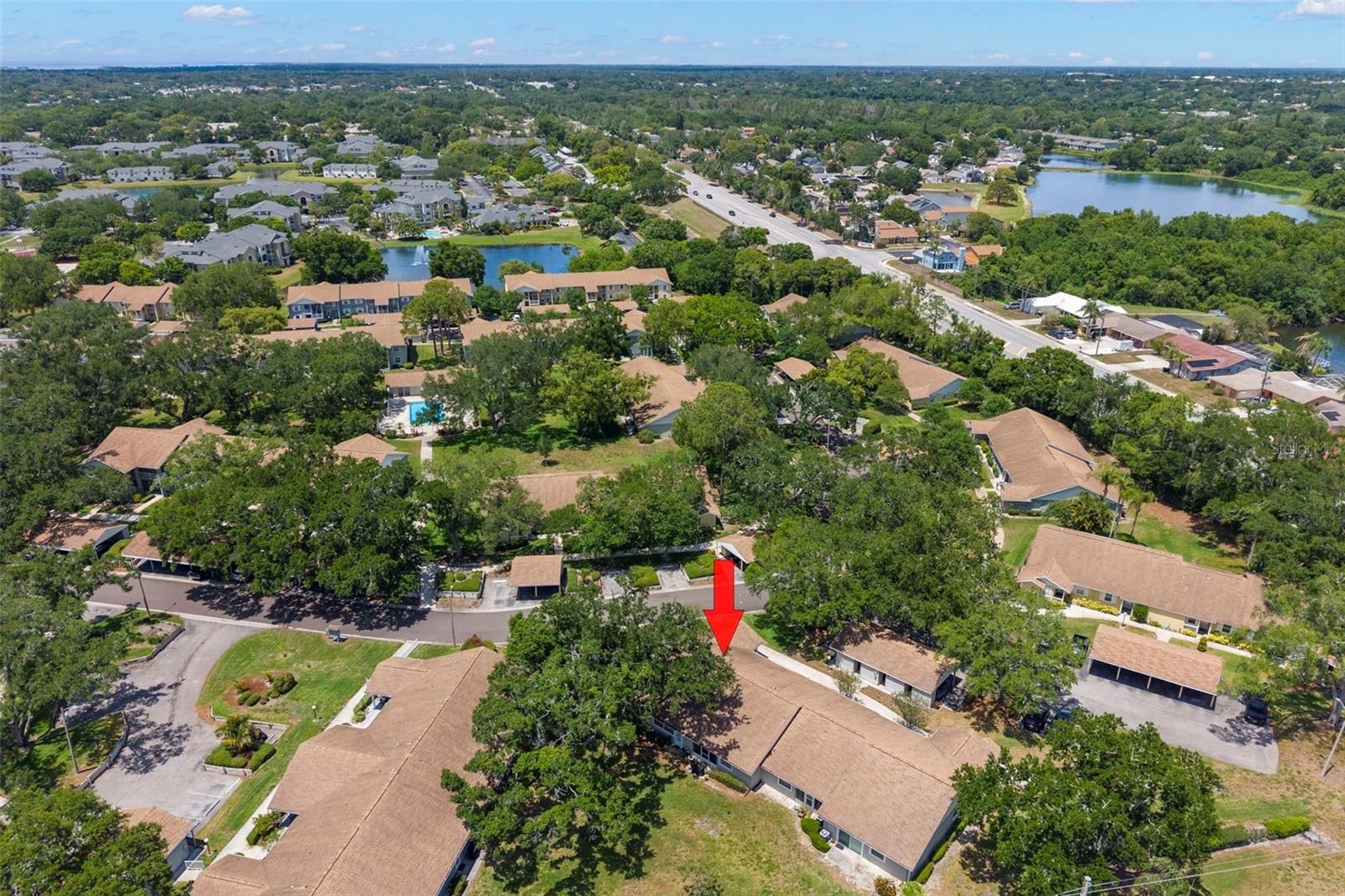 1465 OAK HILL DR #104, DUNEDIN, FL, 34698