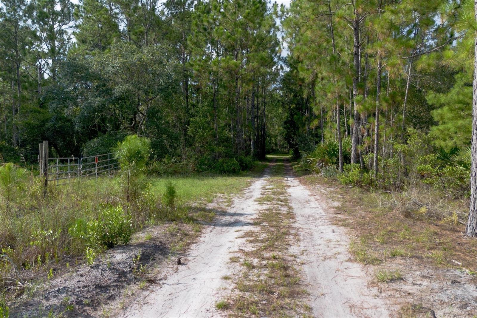 826 FRONTIER TRL, OSTEEN, FL, 32764