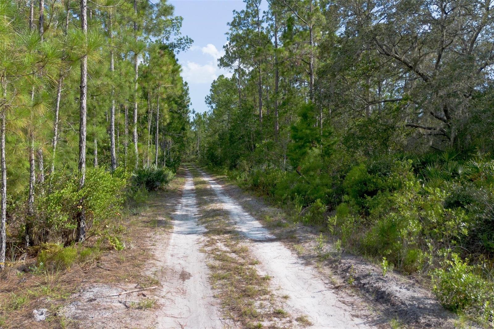 826 FRONTIER TRL, OSTEEN, FL, 32764