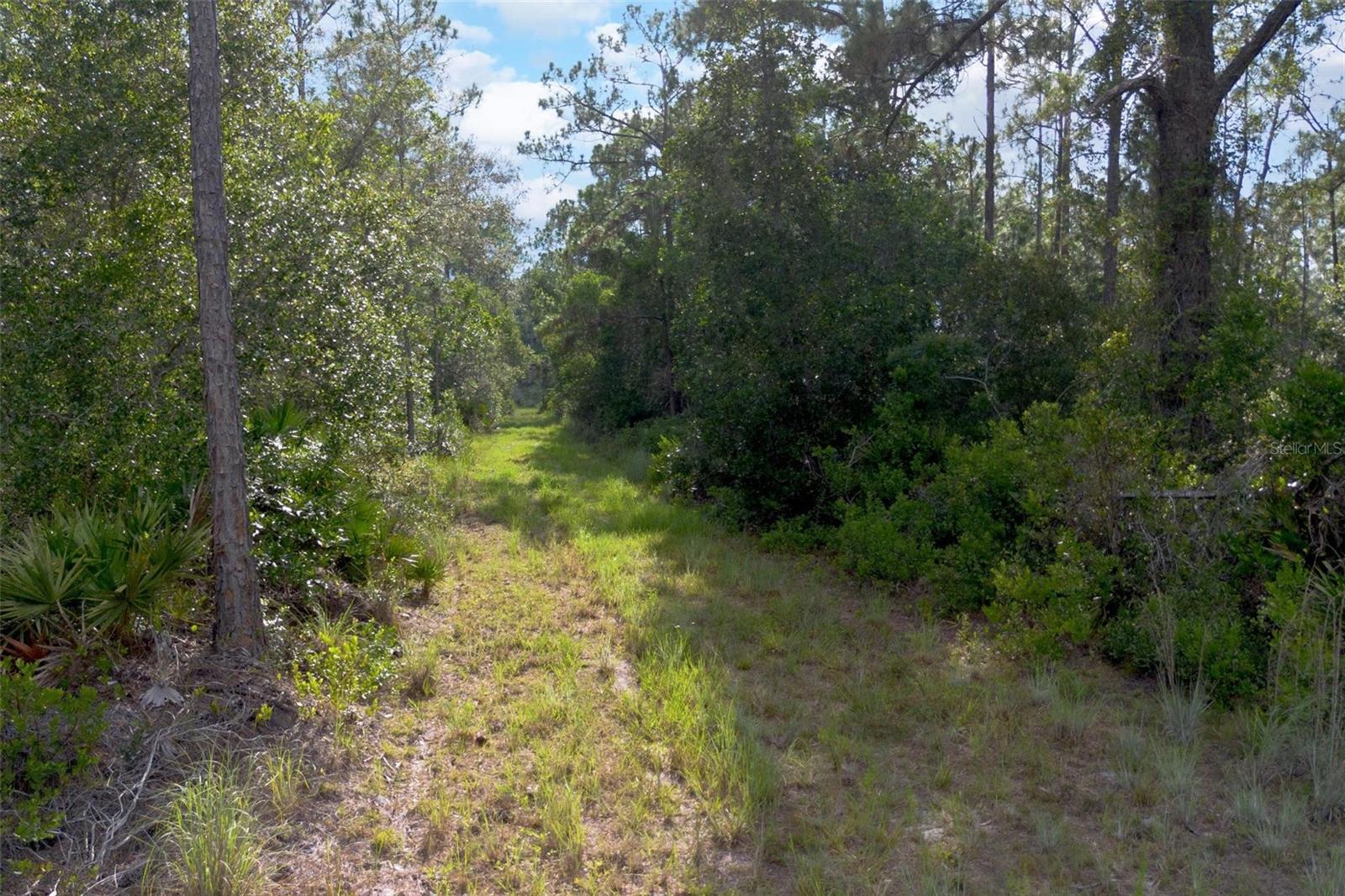 826 FRONTIER TRL, OSTEEN, FL, 32764