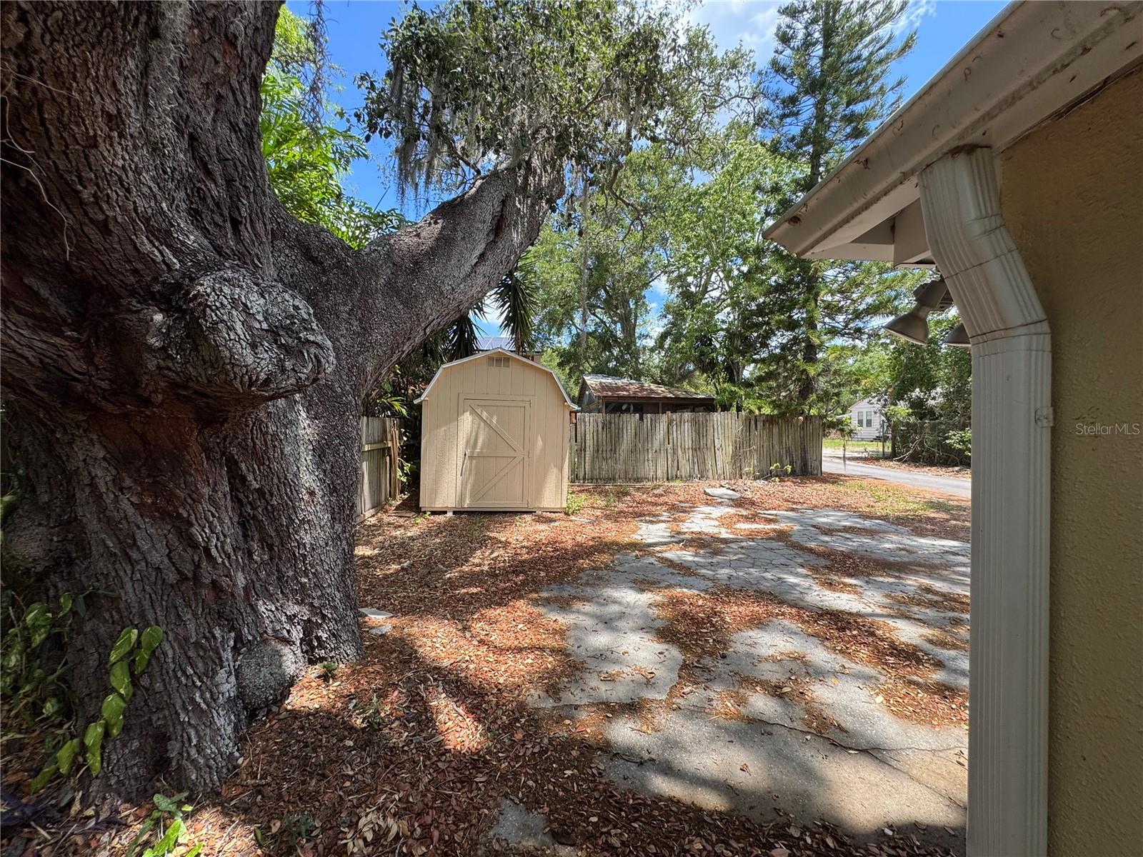 432 TAMPA RD, PALM HARBOR, FL, 34683