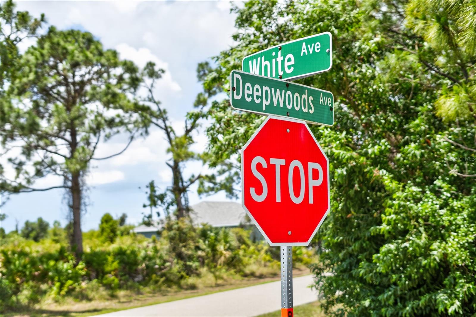 12462 DEEPWOODS AVE, PORT CHARLOTTE, FL, 33981