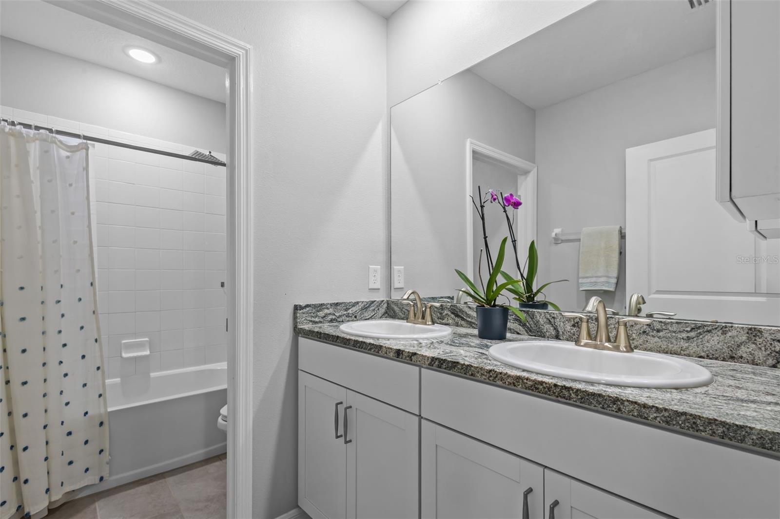 3201 LIVING CORAL DR, ODESSA, FL, 33556