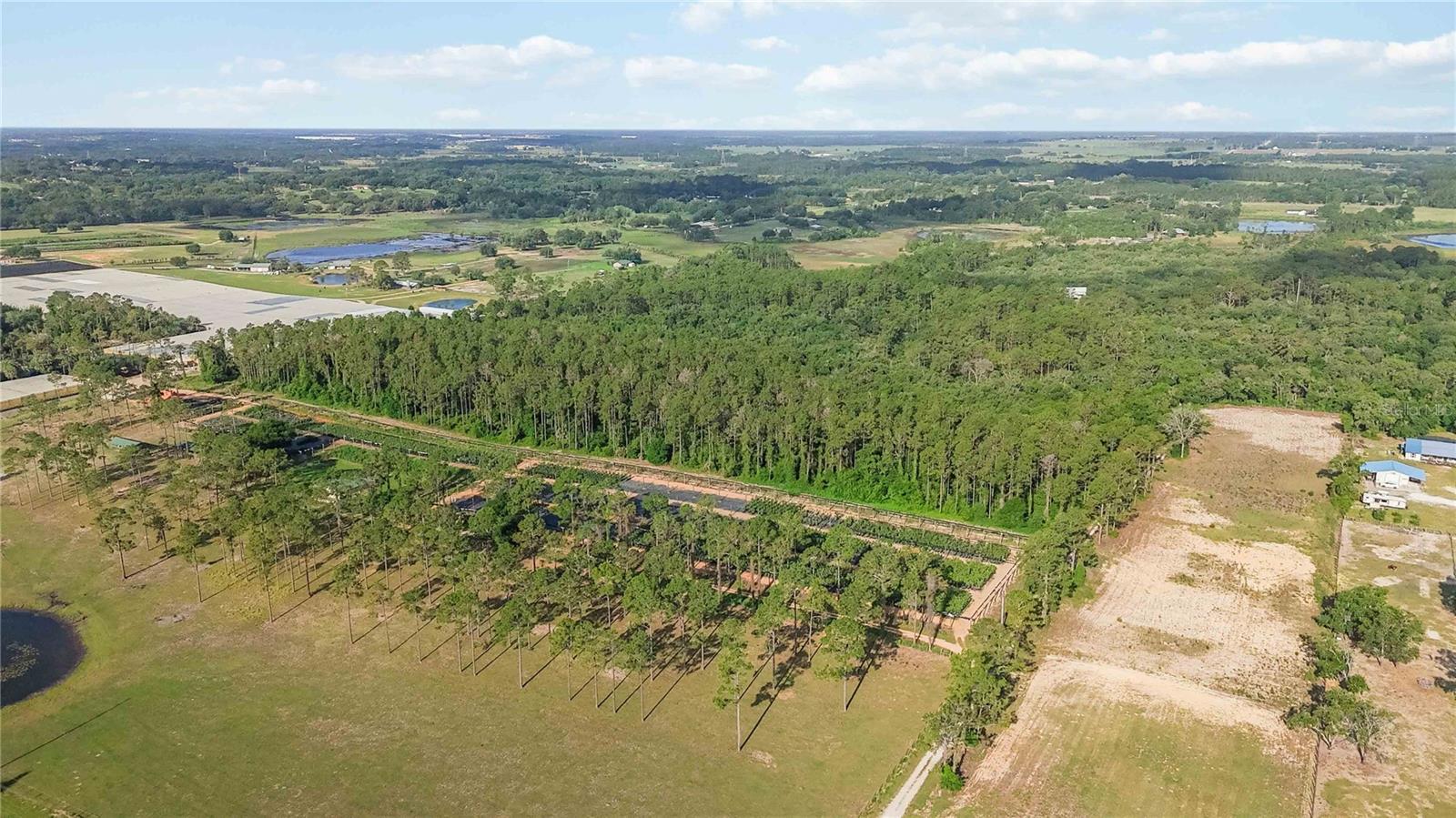 23175 N BUCKHILL RD, HOWEY IN THE HILLS, FL, 34737