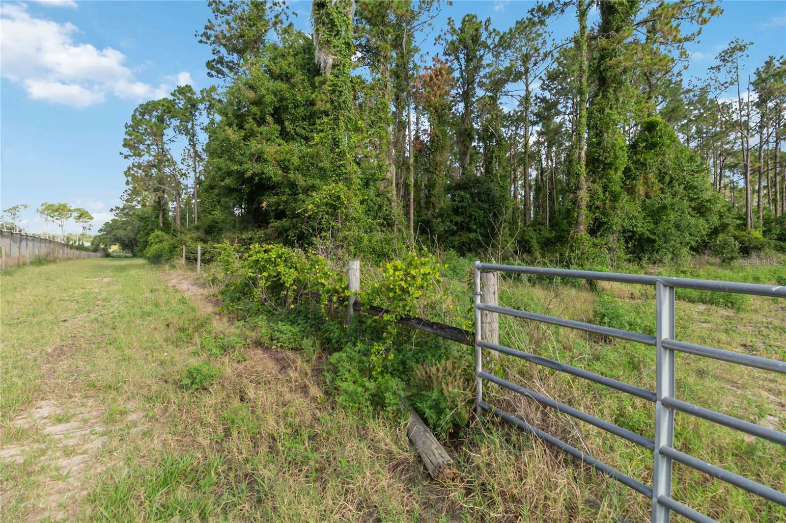 23175 N BUCKHILL RD, HOWEY IN THE HILLS, FL, 34737