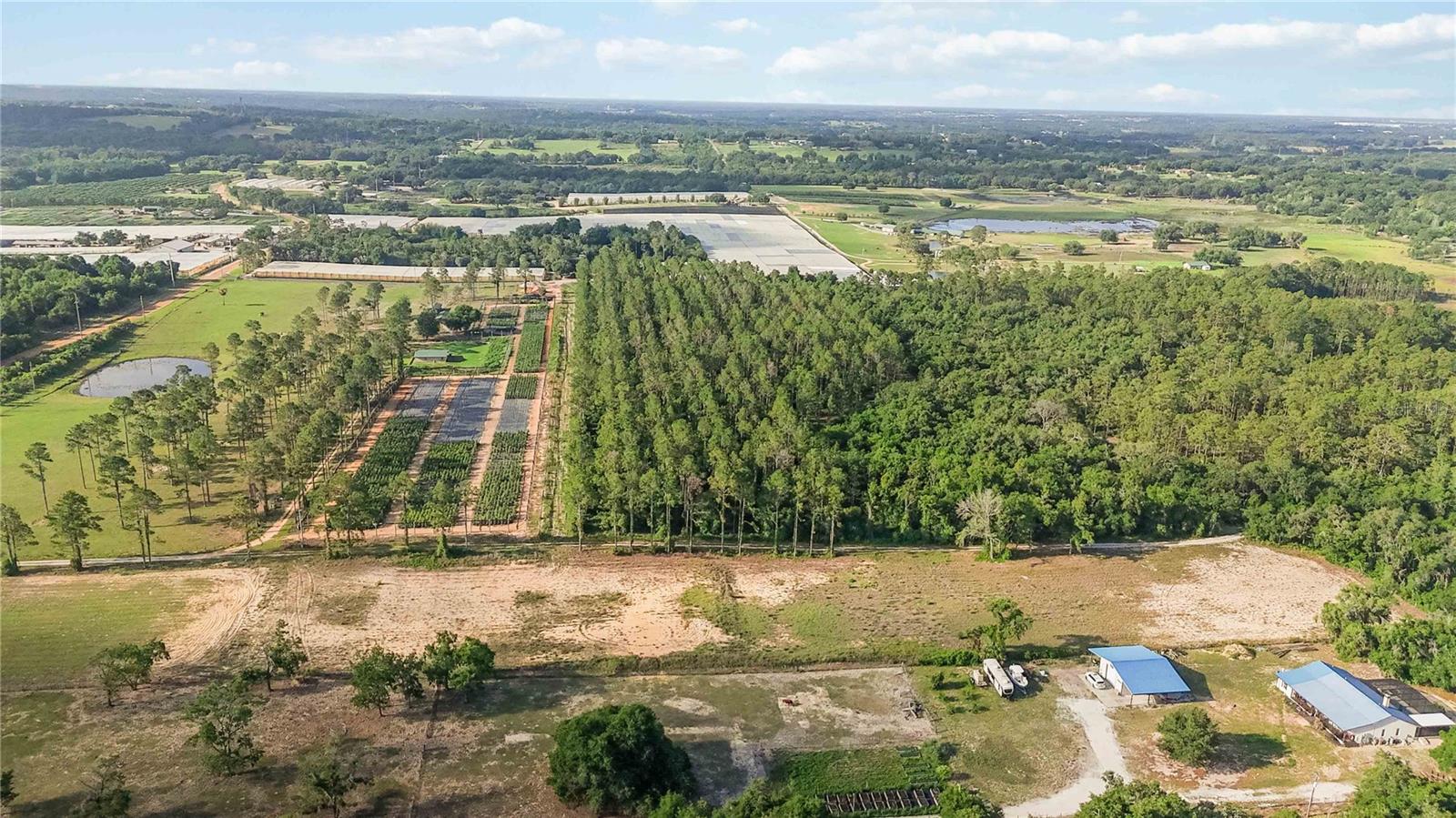 23175 N BUCKHILL RD, HOWEY IN THE HILLS, FL, 34737