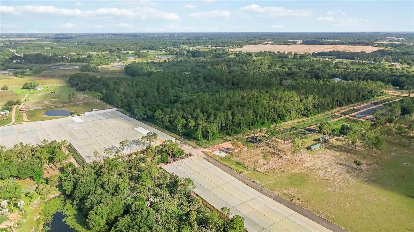 23175 N BUCKHILL RD, HOWEY IN THE HILLS, FL, 34737