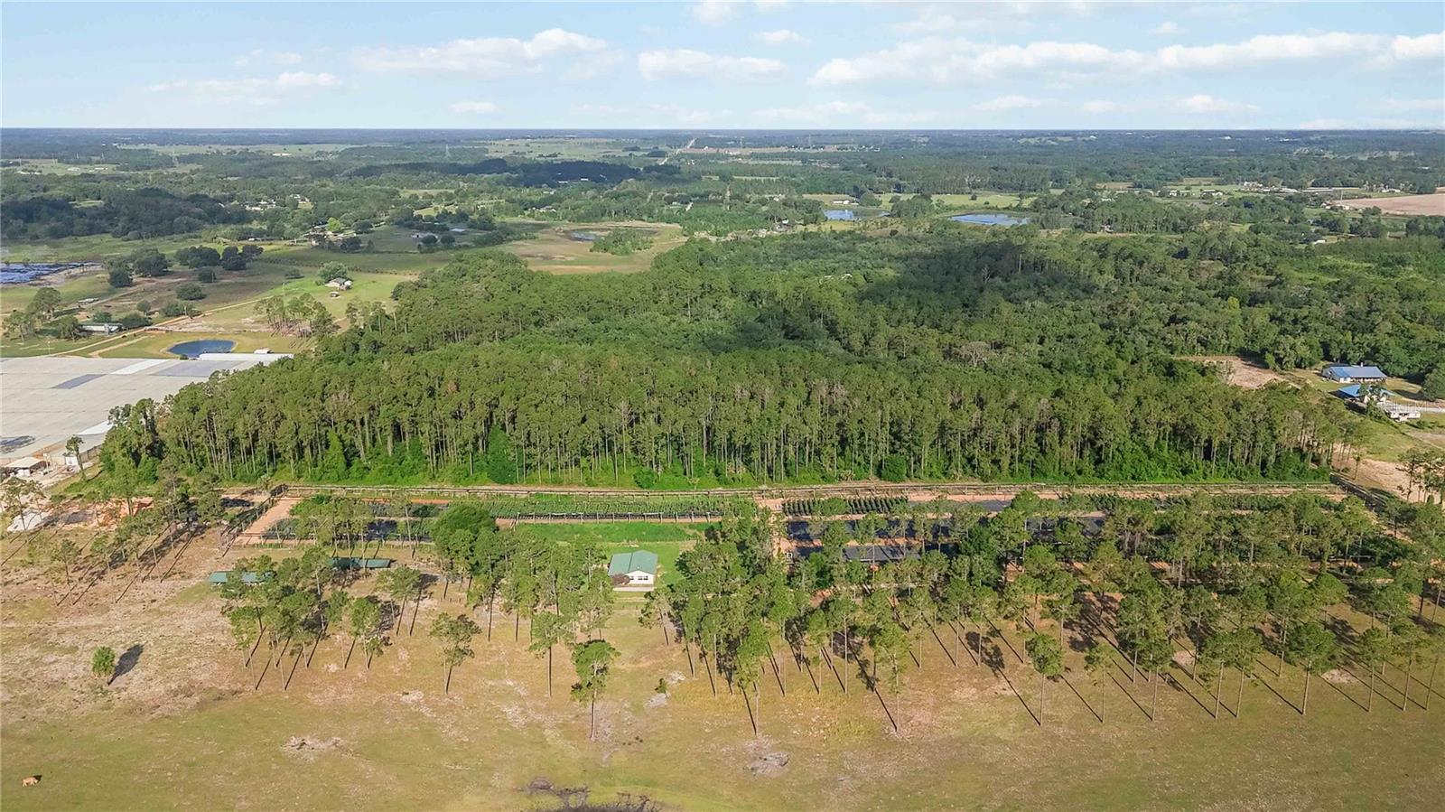 23175 N BUCKHILL RD, HOWEY IN THE HILLS, FL, 34737