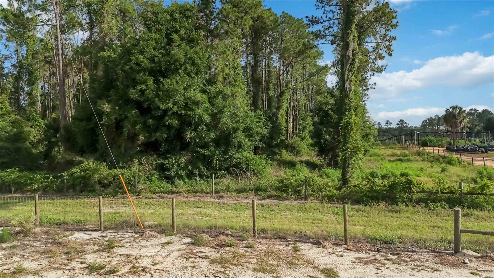 23175 N BUCKHILL RD, HOWEY IN THE HILLS, FL, 34737