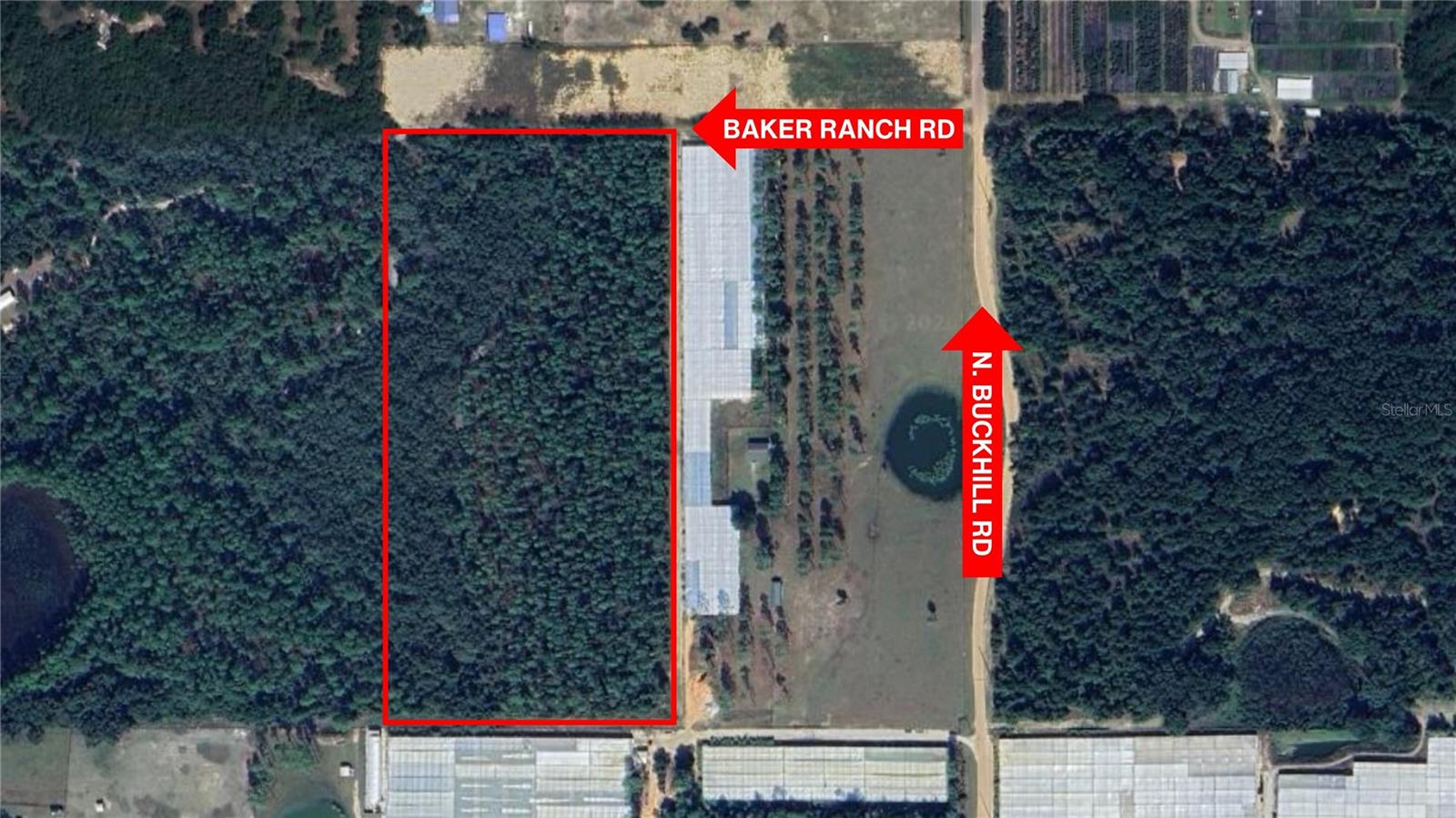 23175 N BUCKHILL RD, HOWEY IN THE HILLS, FL, 34737