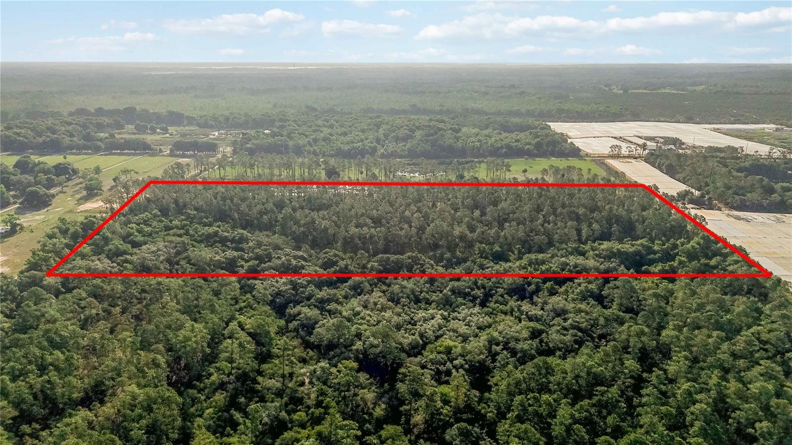 23175 N BUCKHILL RD, HOWEY IN THE HILLS, FL, 34737