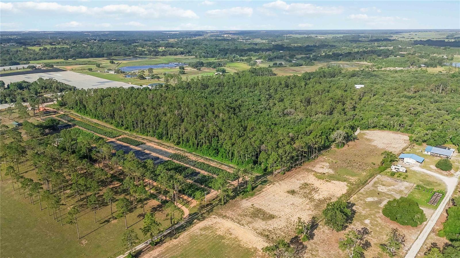 23175 N BUCKHILL RD, HOWEY IN THE HILLS, FL, 34737