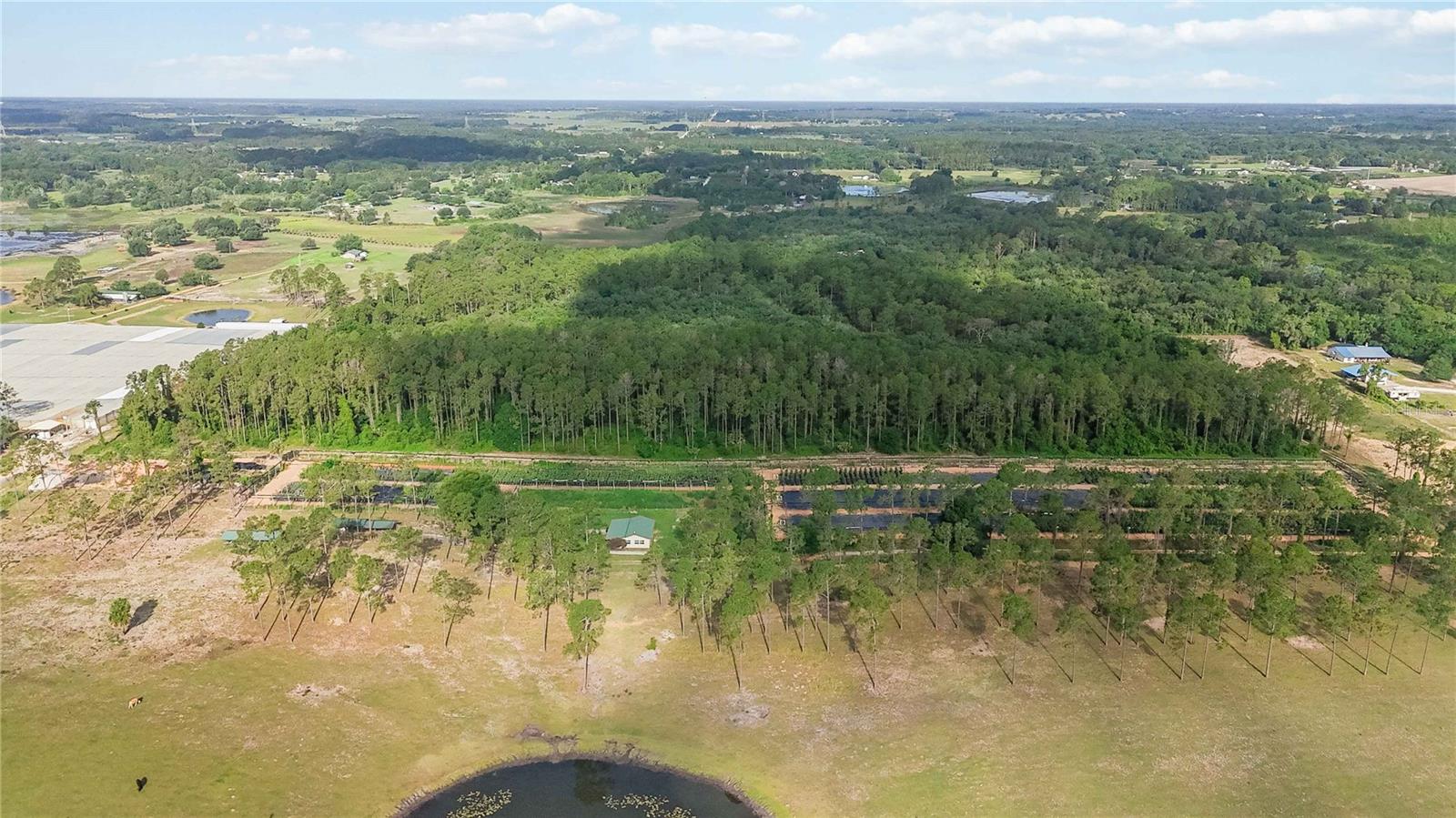 23175 N BUCKHILL RD, HOWEY IN THE HILLS, FL, 34737