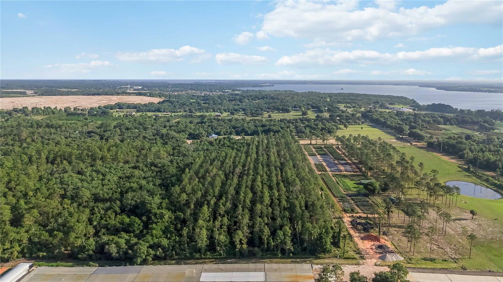 23175 N BUCKHILL RD, HOWEY IN THE HILLS, FL, 34737