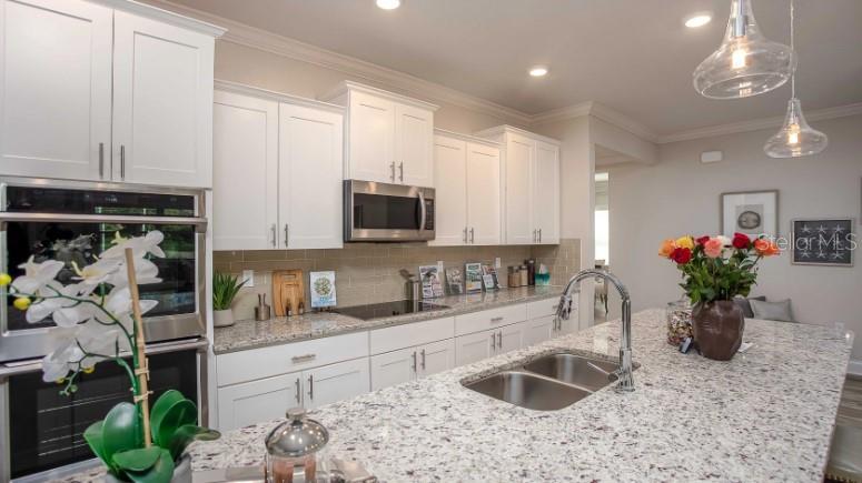 49 VINCA ST, HOMOSASSA, FL, 34446