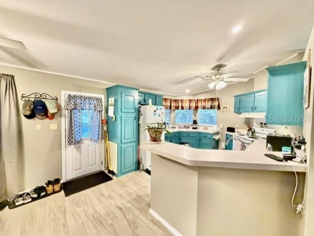 3520 NW 67TH TER, BELL, FL, 32619