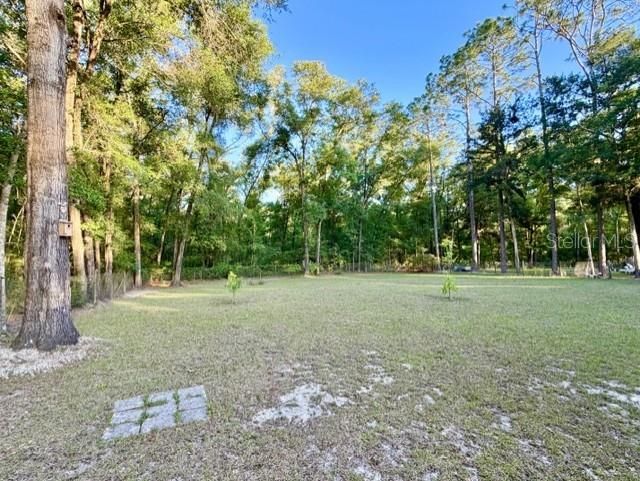 3520 NW 67TH TER, BELL, FL, 32619