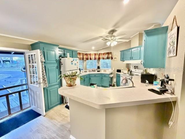 3520 NW 67TH TER, BELL, FL, 32619