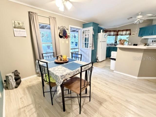 3520 NW 67TH TER, BELL, FL, 32619