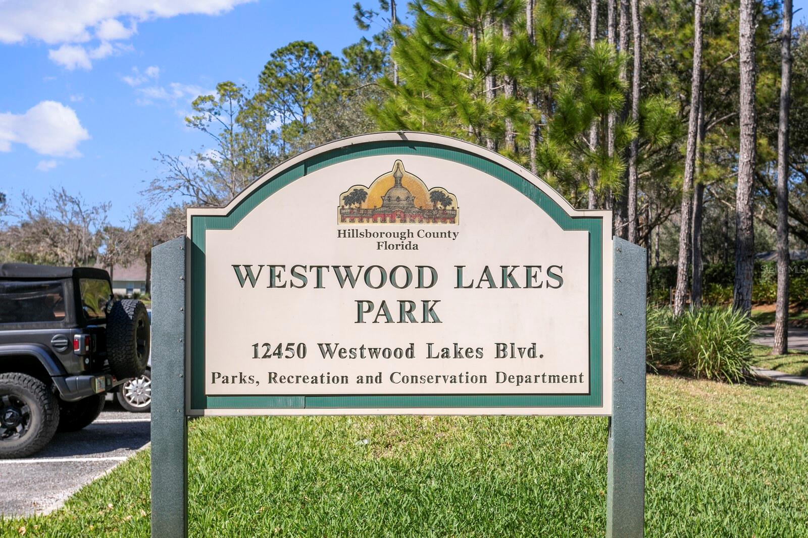 14316 SKY FLOWER LN, TAMPA, FL, 33626