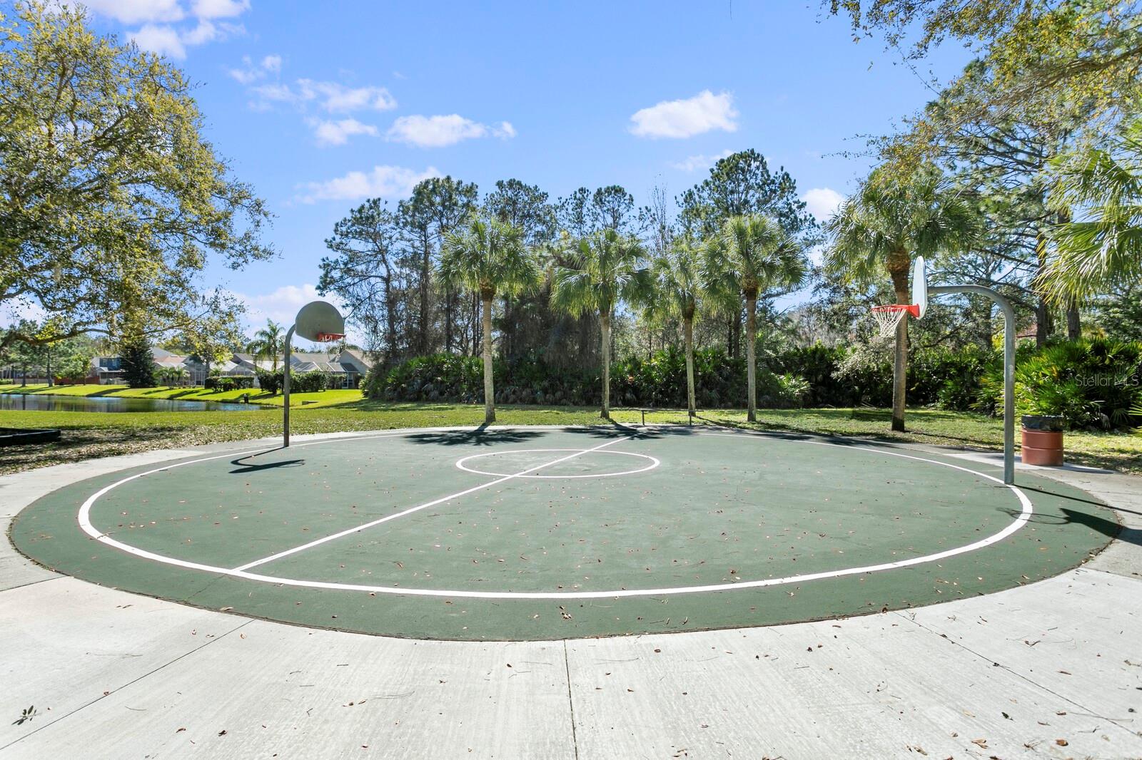 14316 SKY FLOWER LN, TAMPA, FL, 33626