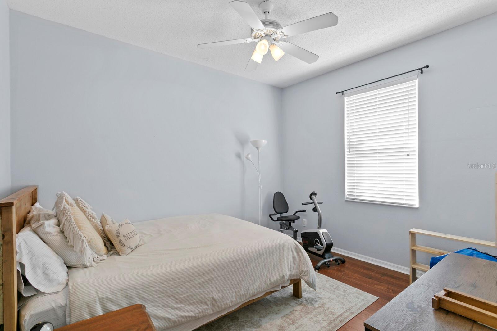 14316 SKY FLOWER LN, TAMPA, FL, 33626