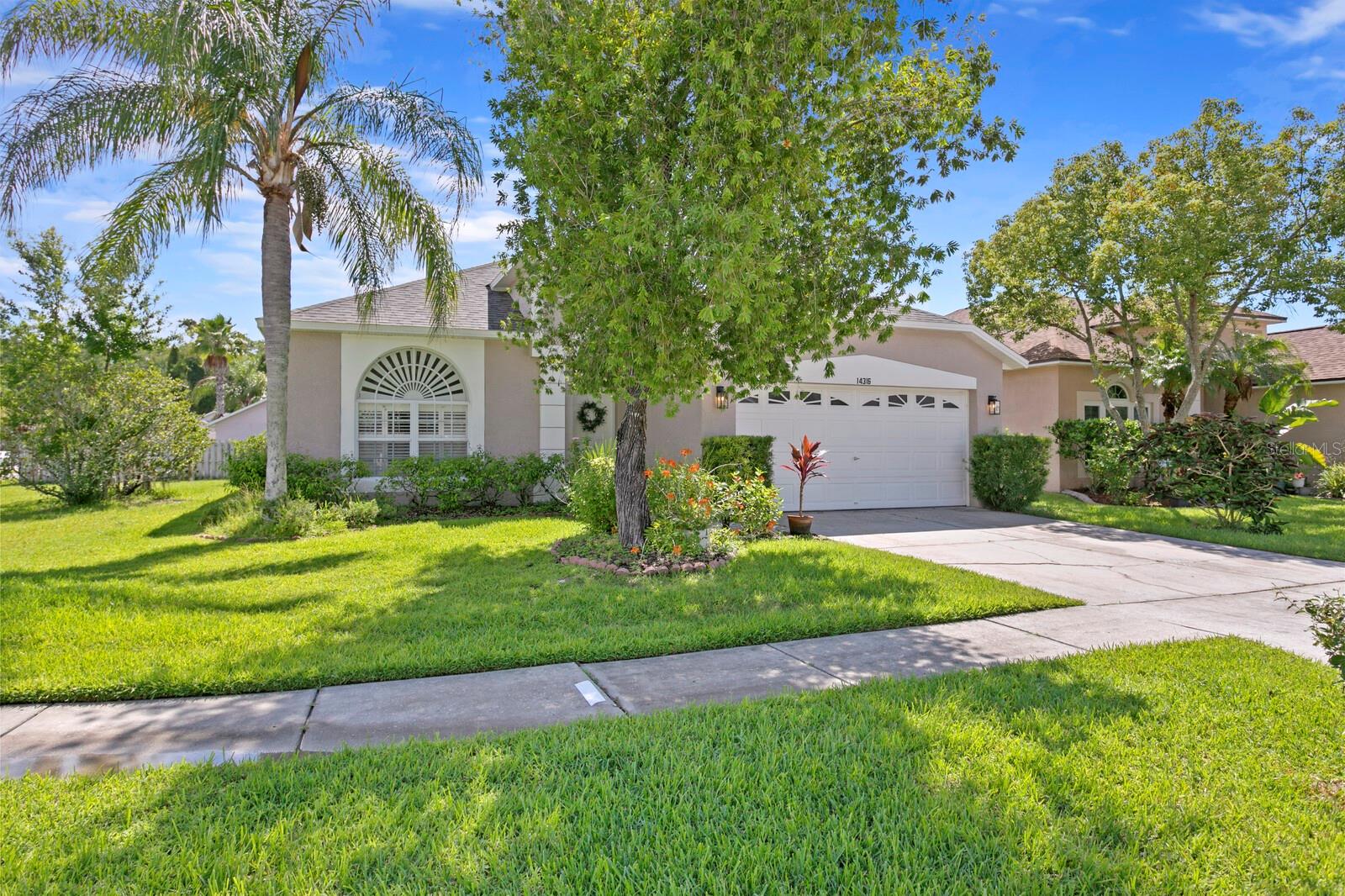 14316 SKY FLOWER LN, TAMPA, FL, 33626