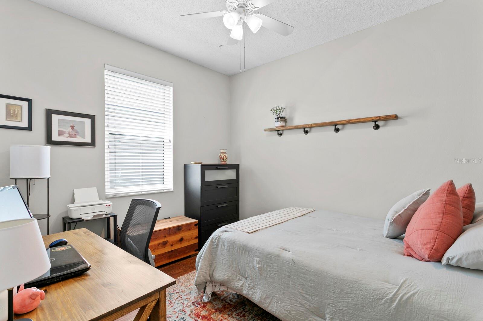 14316 SKY FLOWER LN, TAMPA, FL, 33626