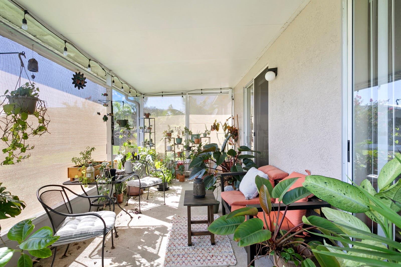 14316 SKY FLOWER LN, TAMPA, FL, 33626