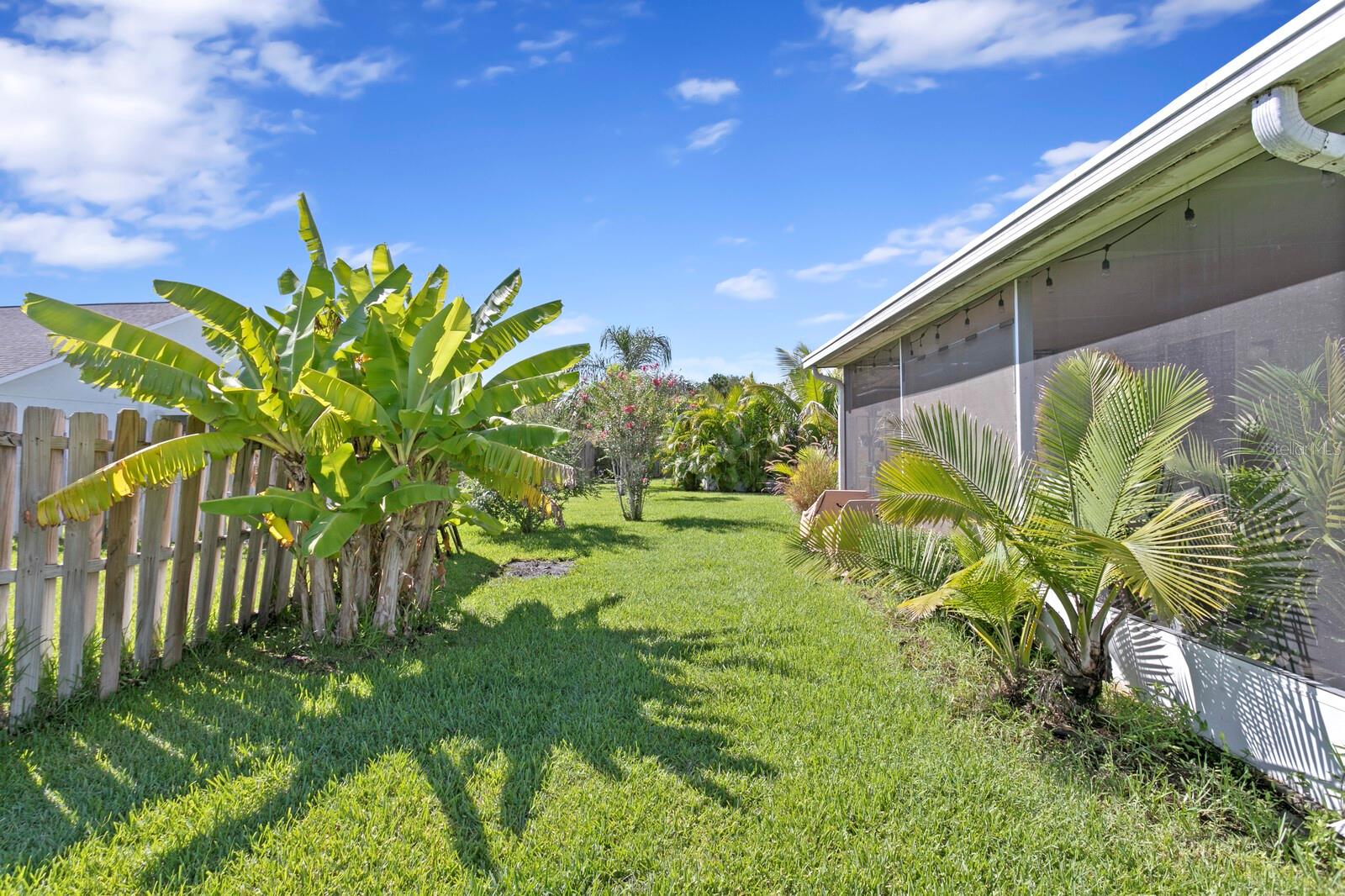 14316 SKY FLOWER LN, TAMPA, FL, 33626