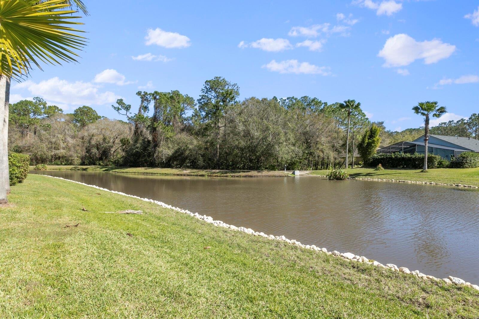 14316 SKY FLOWER LN, TAMPA, FL, 33626