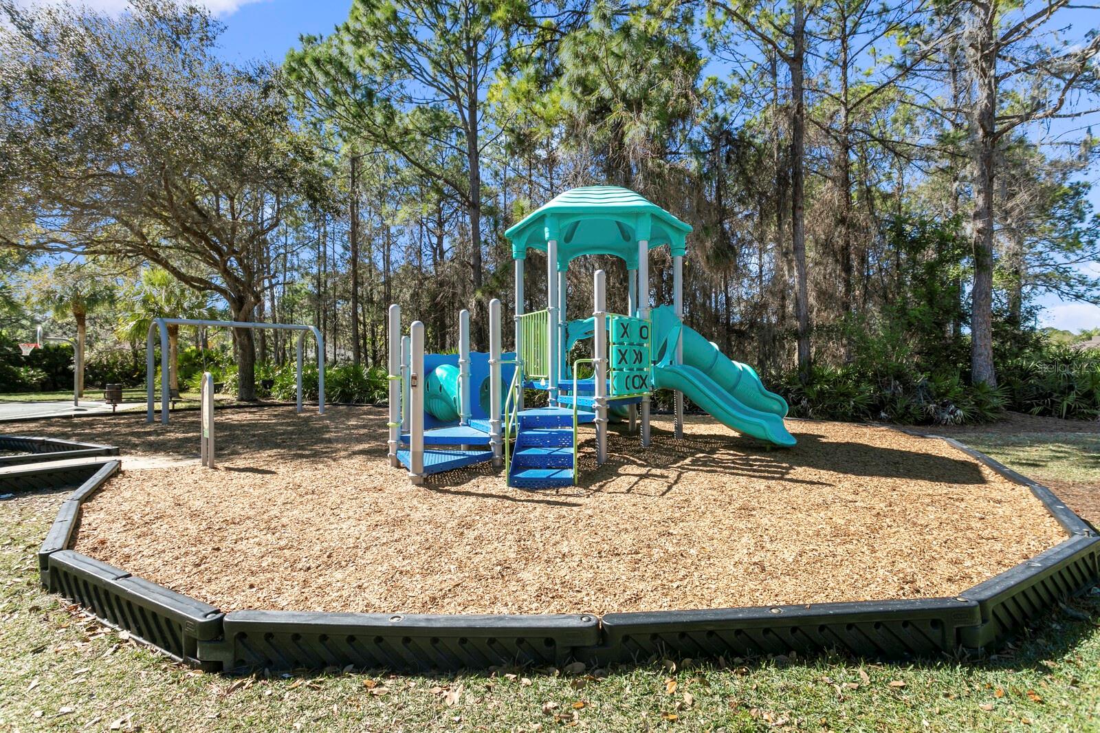 14316 SKY FLOWER LN, TAMPA, FL, 33626
