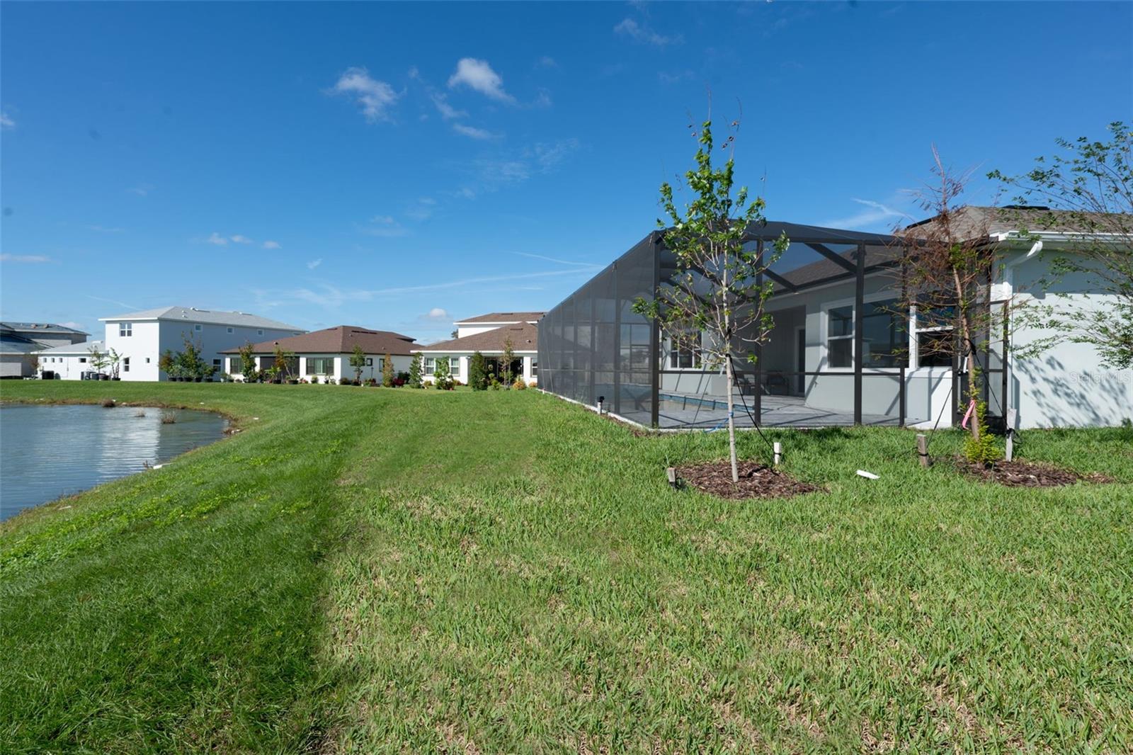 8178 IVY STARK BLVD, WESLEY CHAPEL, FL, 33545