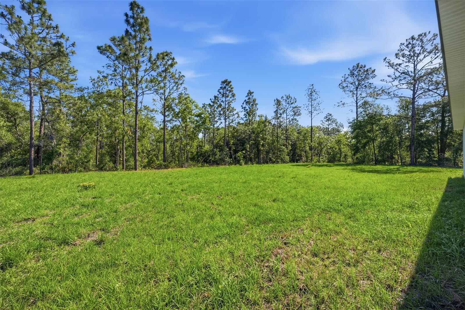 12989 SW 64TH LN, OCALA, FL, 34481
