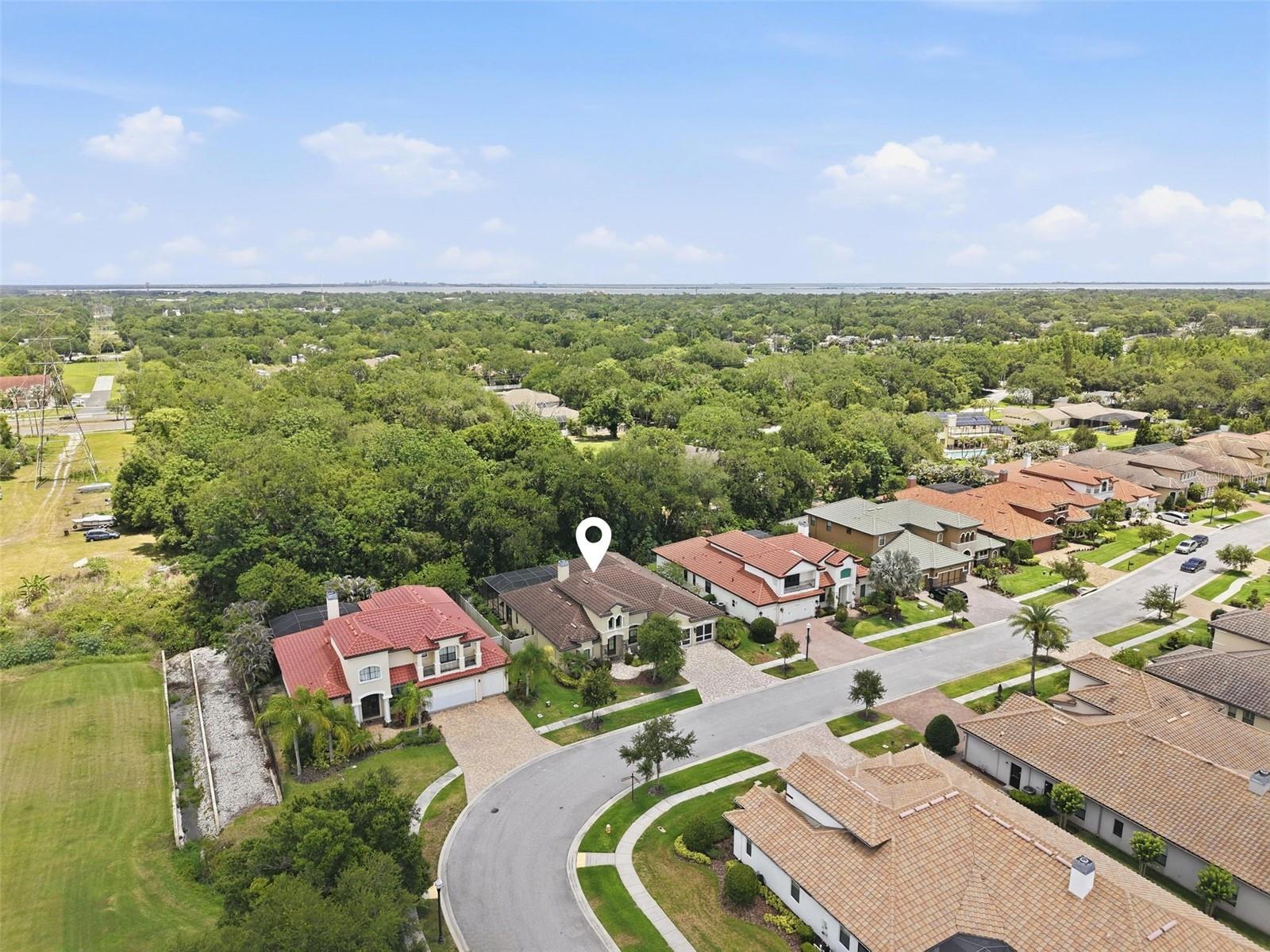 2165 MAJESTIC OAKS BLVD, CLEARWATER, FL, 33759
