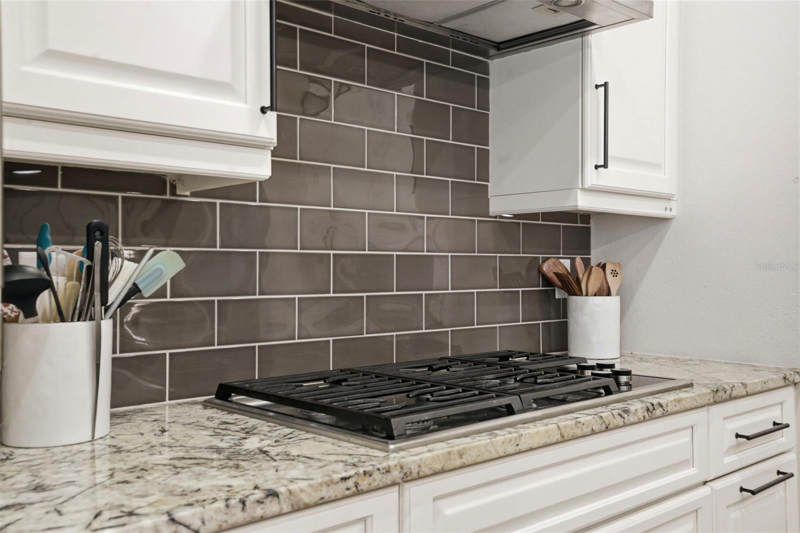 2165 MAJESTIC OAKS BLVD, CLEARWATER, FL, 33759