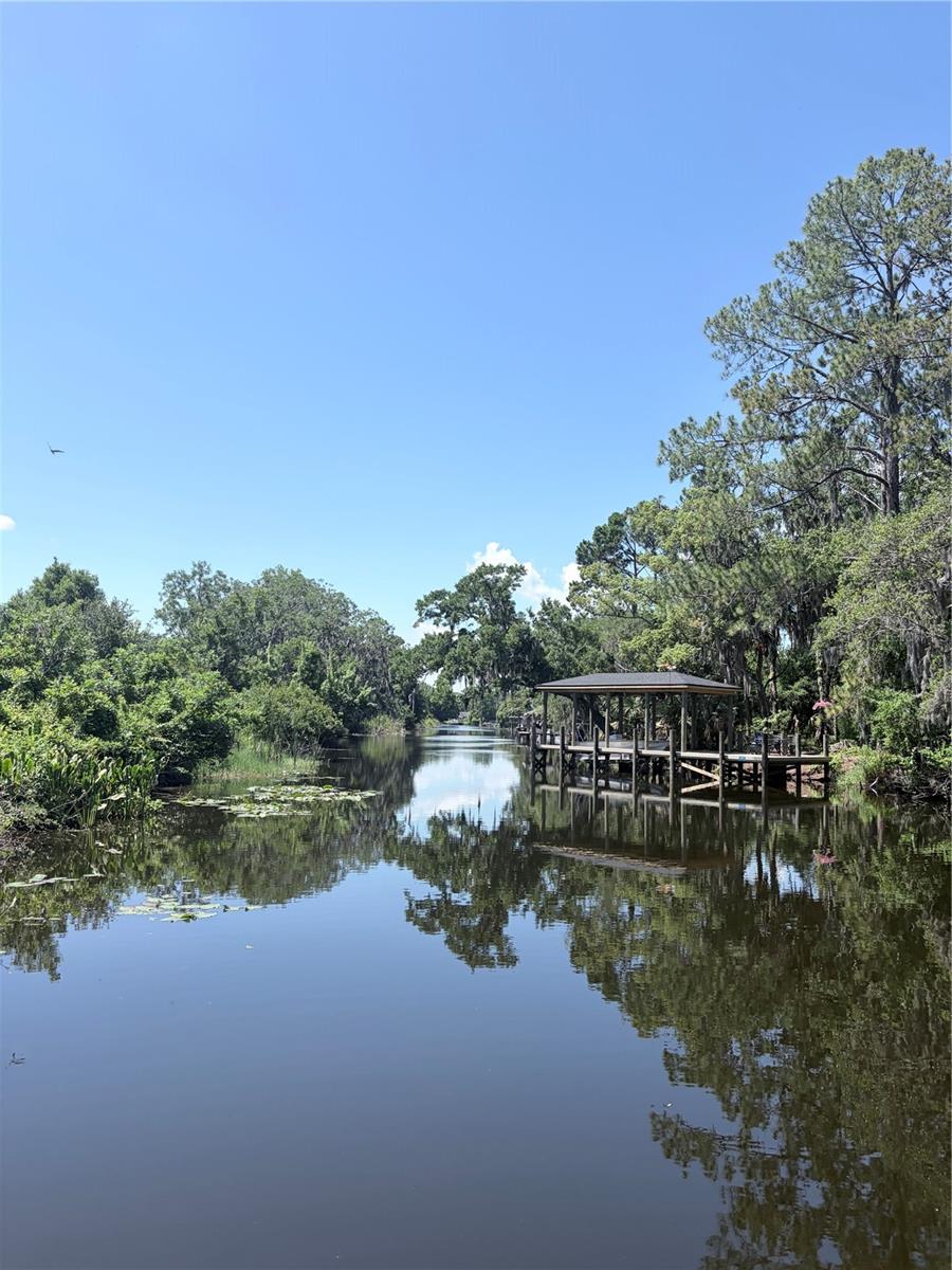 3654 HIDDEN RIVER LN, TAVARES, FL, 32778