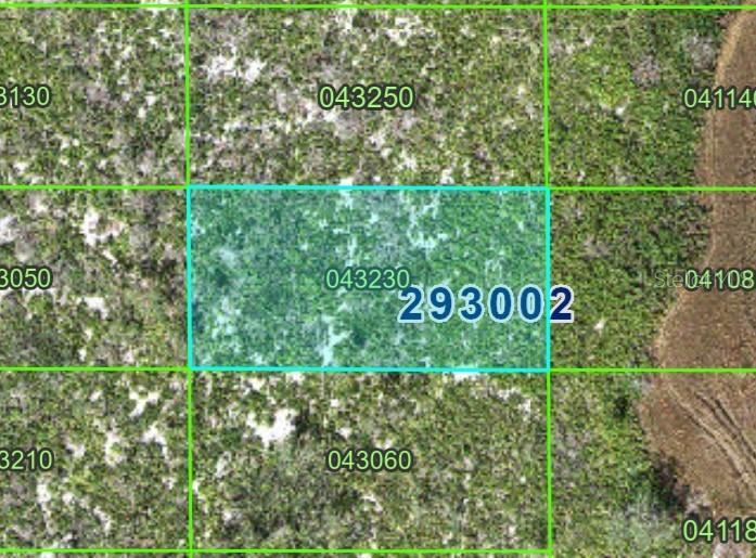 PID #29 30 02 000000 043230, LAKE WALES, FL, 33898