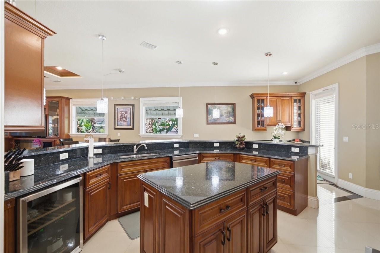 UNPLATTED, TAMPA, FL, 33612